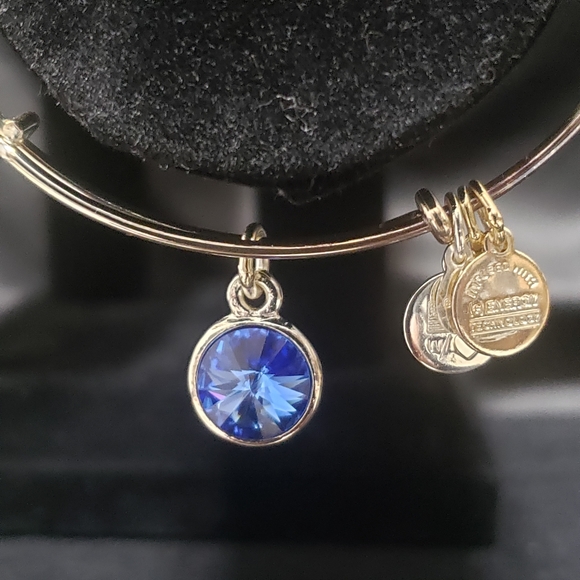 Alex & Ani RS September Swarovski Bracelet - Picture 4 of 9